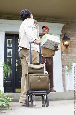 Portable Oxygen Concentrator with trolley